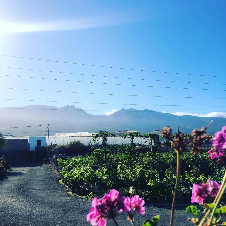 Los Conejos Santa Cruz de Tenerife Kültér fotó