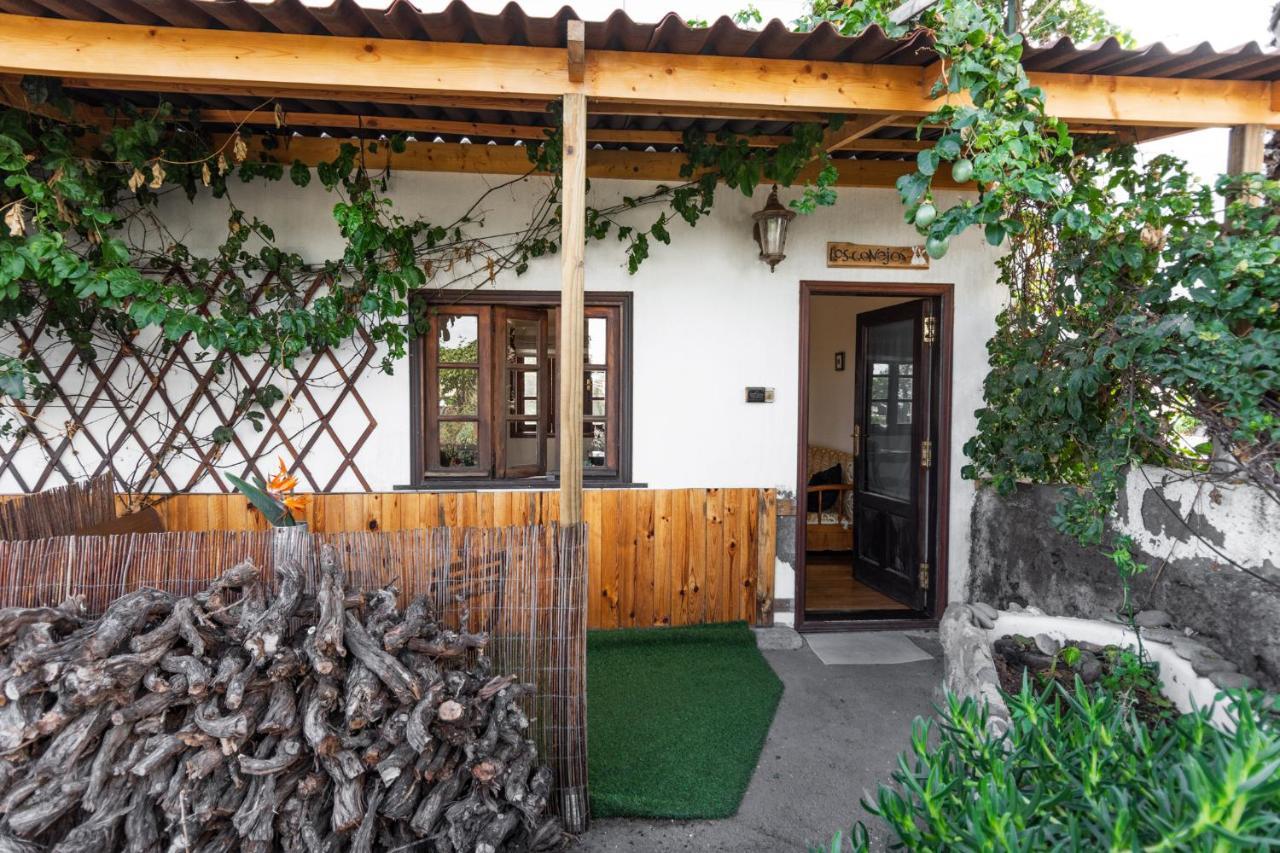 Los Conejos Santa Cruz de Tenerife Kültér fotó